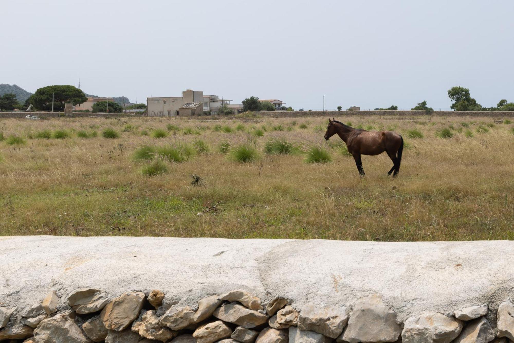 Sweet Sicily Apartments Carini Dış mekan fotoğraf